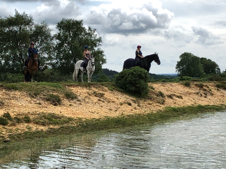 Family Riding in New Forest